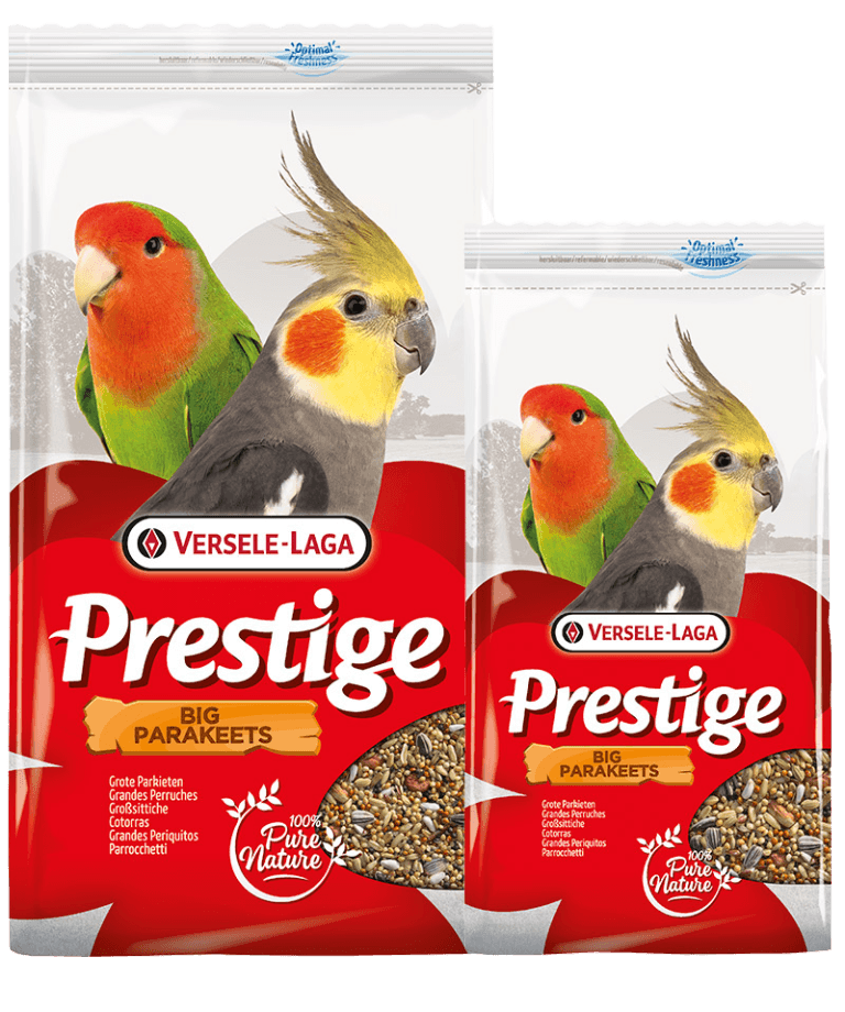 Prestige Grandes Perruches (1)
