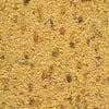 Gold Patee Grandes Perruches & Perroquets