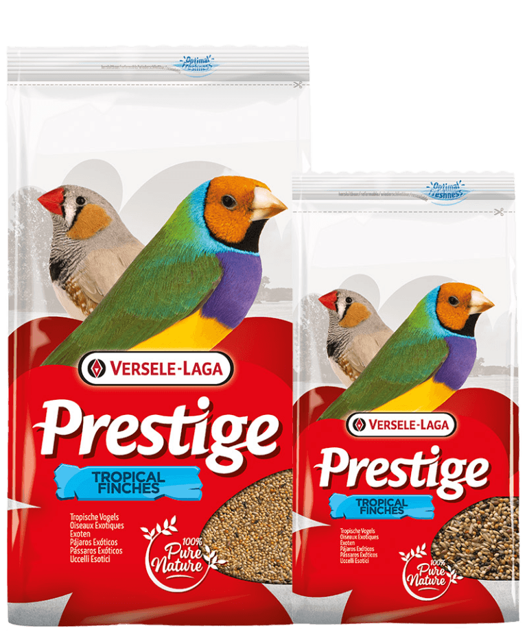Prestige Oiseaux Exotiques (1)