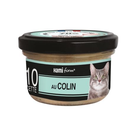 Recette n° 10 – Colin – 80 gr