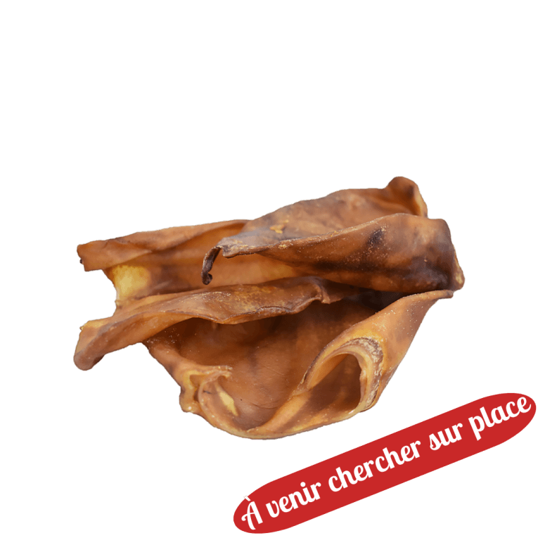 Mâchouilles – Oreilles de porc XL (x10) 550g (1)