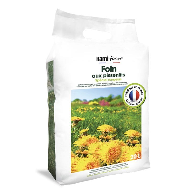 363-FOIN-PISSENLITS
