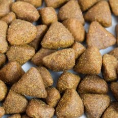 Croquettes