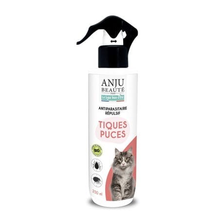 Lotion antiparasitaire chat