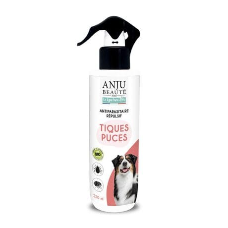 Lotion antiparasitaire chien