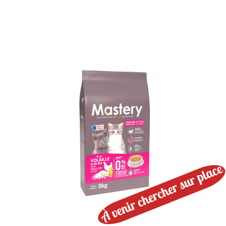 Mastery Chaton 8kg