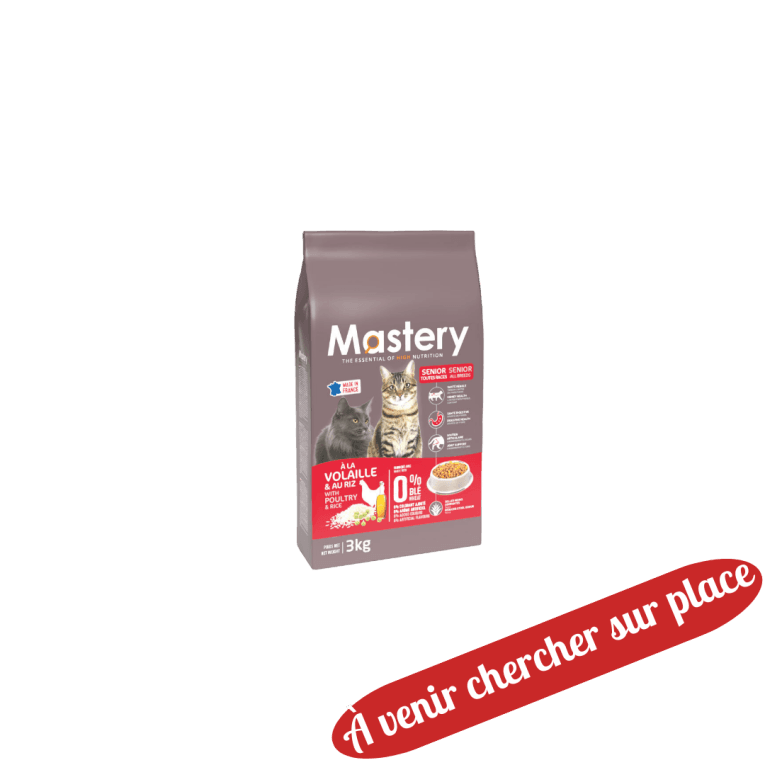 chat-individuels-senior-3kg