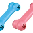 KONG Puppy Bone