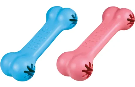 KONG Puppy Bone
