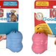 KONG Puppy Bone