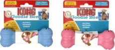 KONG Puppy Bone