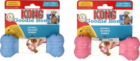 KONG Puppy Bone
