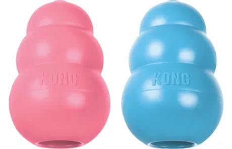 KONG Puppy M