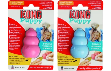 KONG Puppy M en bleu clair ou rose