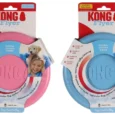 KONG Frisbee Puppy