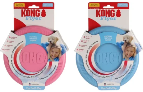 KONG Frisbee Puppy